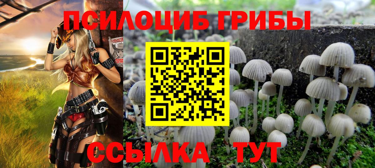хочу наркоту  Галлюциногенные грибы Magic Shrooms  Вход с VPN  Псилоцибиновые грибы прущие грибы  Усолье-Сибирское 