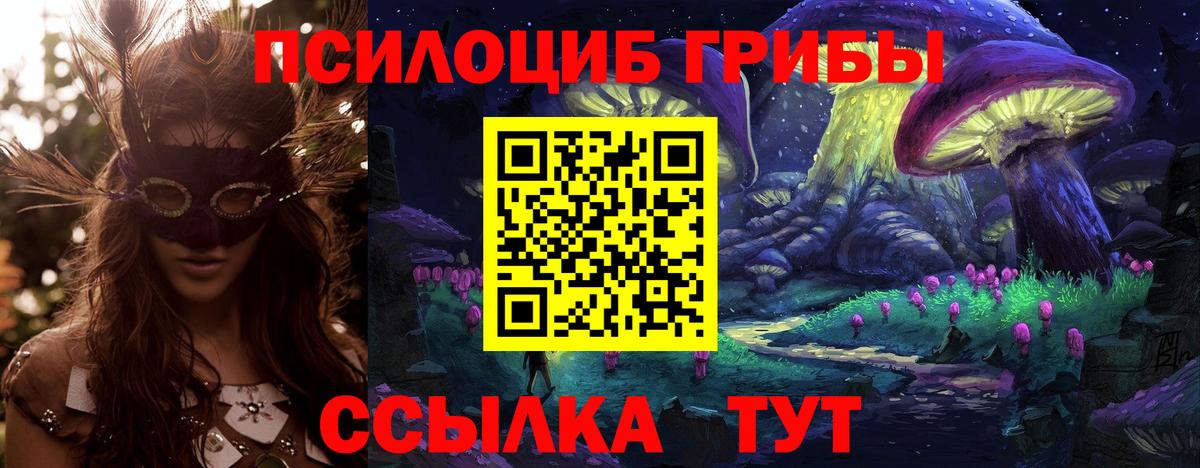 Псилоцибиновые грибы Psilocybine cubensis Усолье-Сибирское